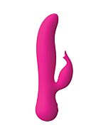 The blossom swan rosa