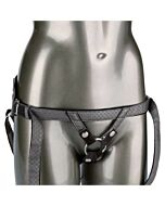 La princesse royale - gris