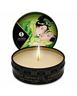 Bougie de Massage Shunga Caress Glow