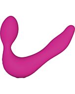 The eternal swan rosa