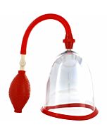 poitrines de développeur