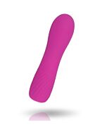 Vibromasseur Violet Inspire