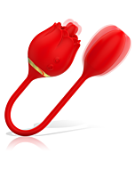 Œuf Vibrant Léchage de Vienne