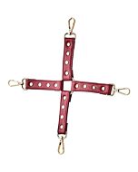 Ruban Rouge Flamboyant