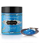 Délices Aquatiques du Plaisir