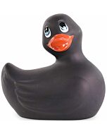 Canard Vibrant Nocturne