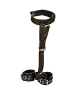 Colt camo et menottes