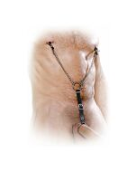 Fétiche mamelon fantastique de serrage avec anneau pénien