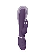 Vibromasseur TAKA Violet - Stimulateur Double