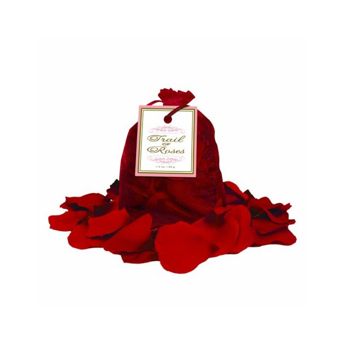 Trail de roses rouges pétales
