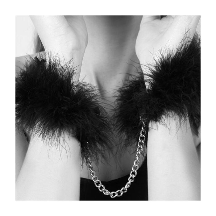 Plumes de Séduction