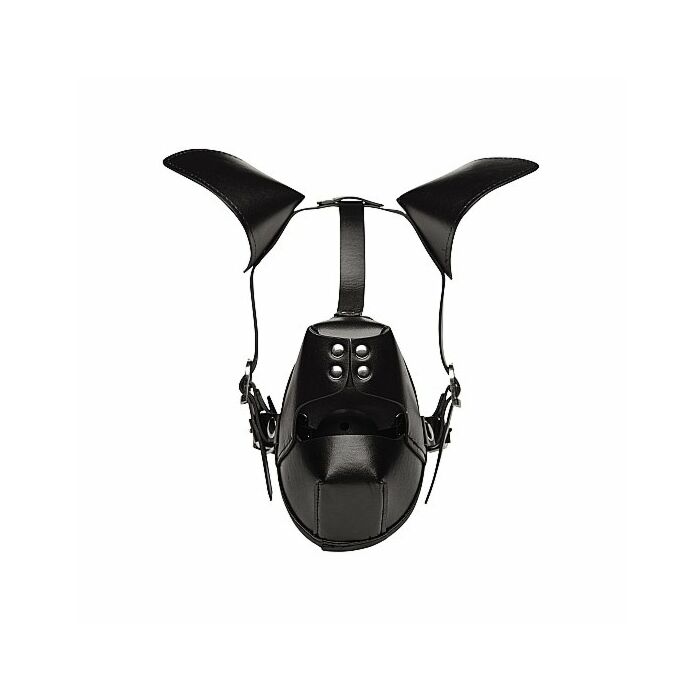 Pup puppy play mascara con mordaza