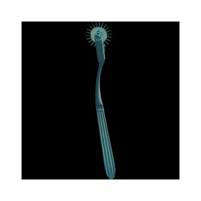 Séduire passion de roue