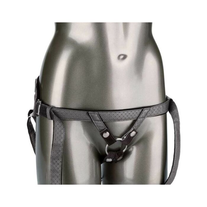 La princesse royale - gris