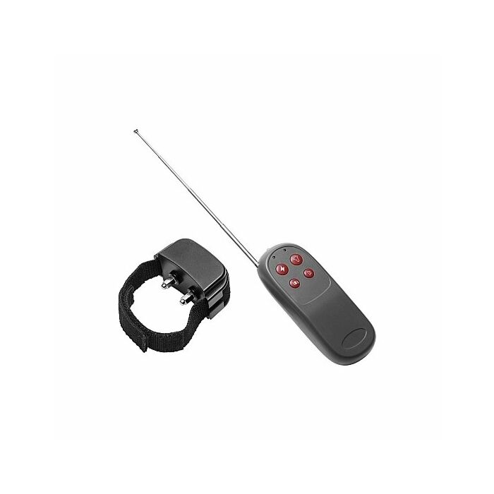 Anillo electroestimulación