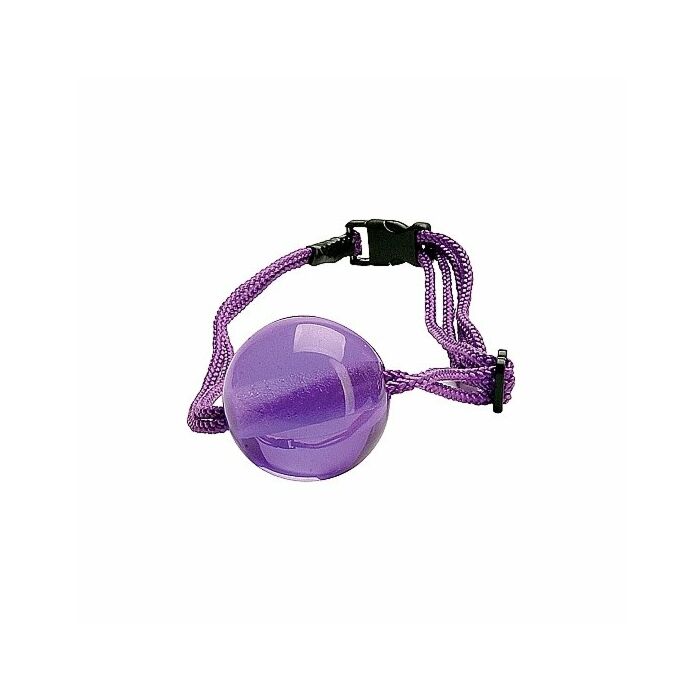Topco gag soie lilas livre corde bondage