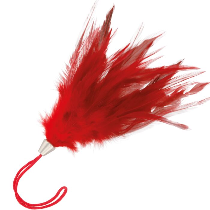 Plume Rouge Sensuelle 17cm