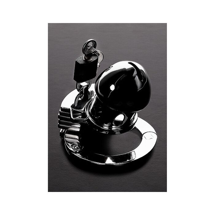 L'oiseau de la prison - Acero Inox