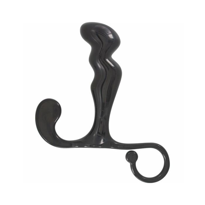 Fiche d'alimentation prostate massager noir