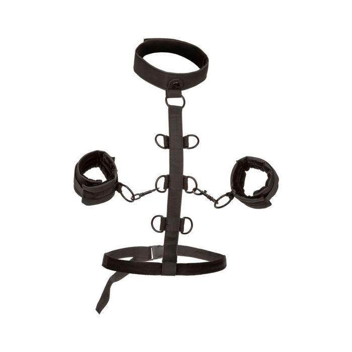 Harnais de retenue sans limite