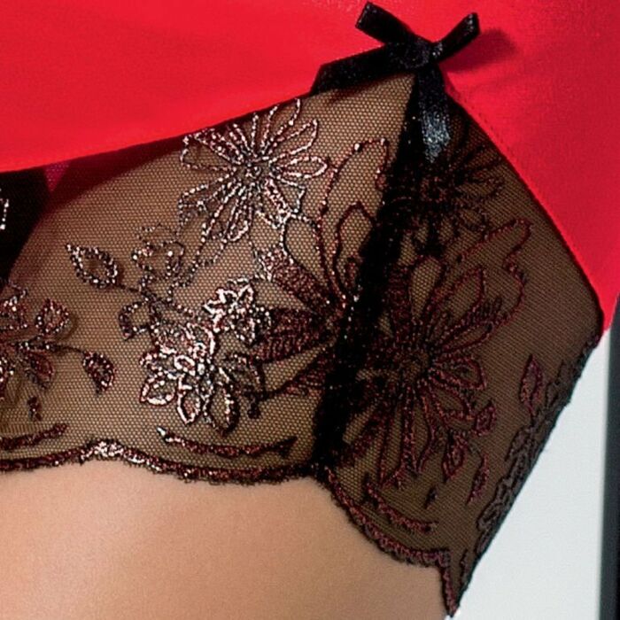 Passion brida chemise & tanga rojo l/xl