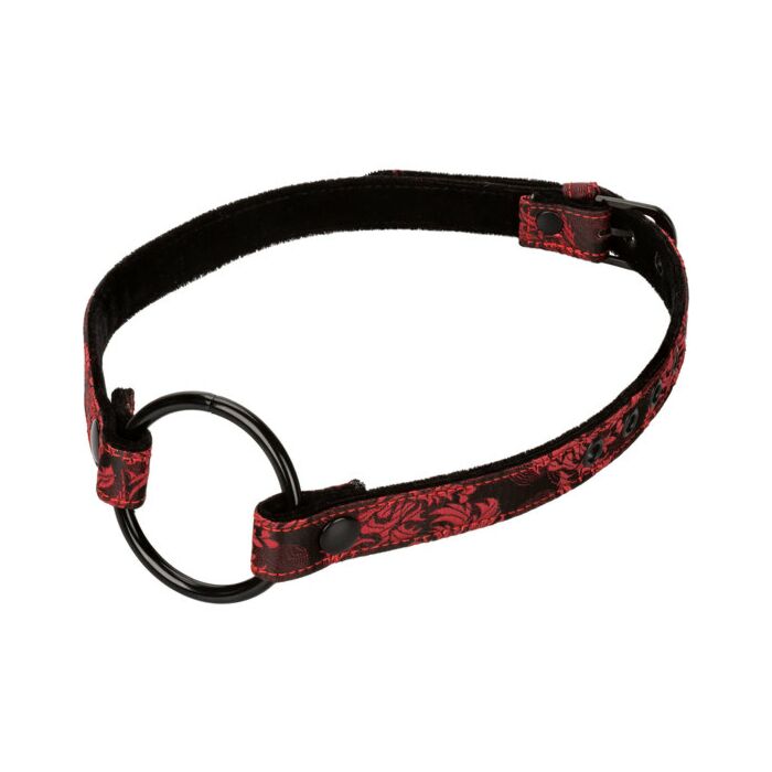 Scandale bouche ouverte bâillon