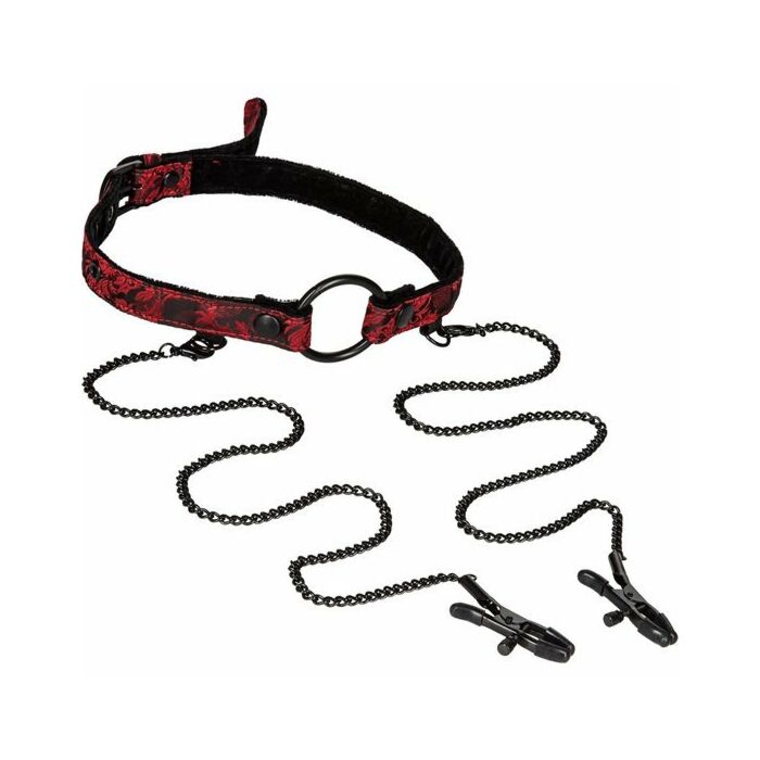 Scandal mordaza con pinzas bondage