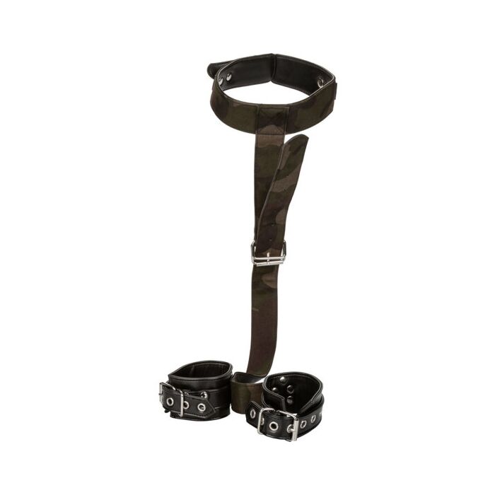 Colt camo et menottes