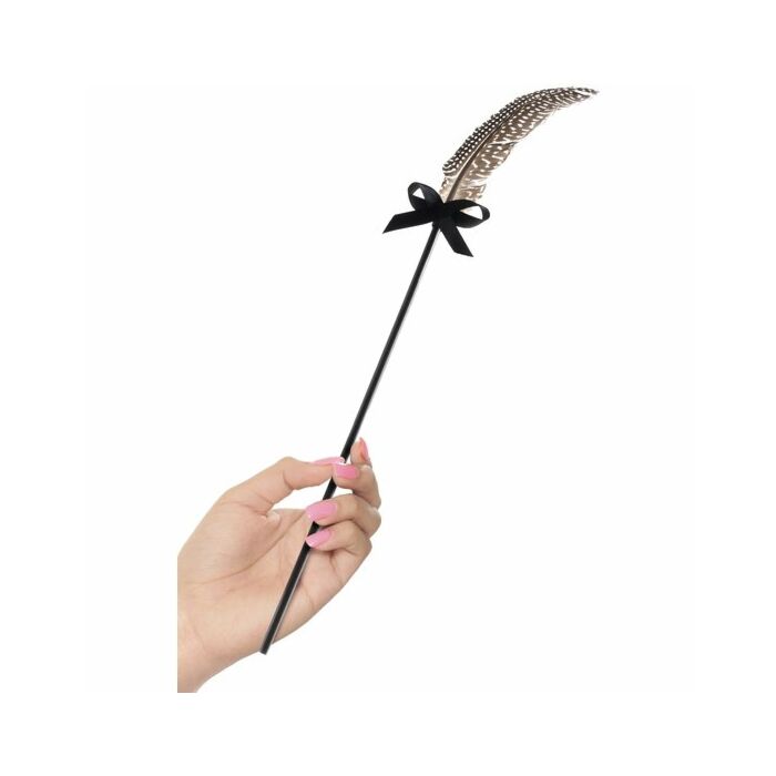 chaînes WHIP fantasy Fetish